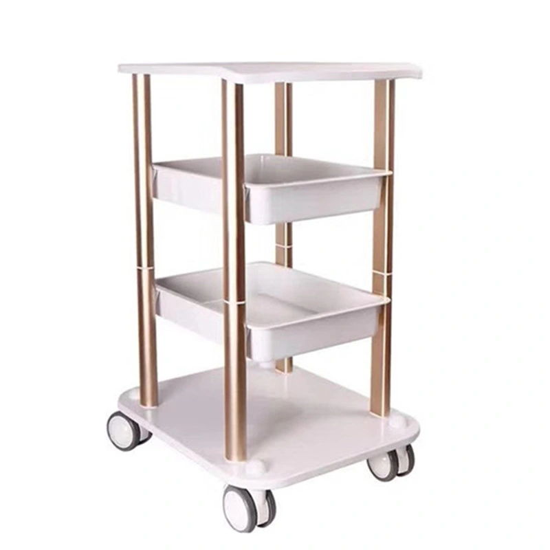 Hot Sale Beauty Equipment Salon Use Beauty Trolley with 2 Drawers