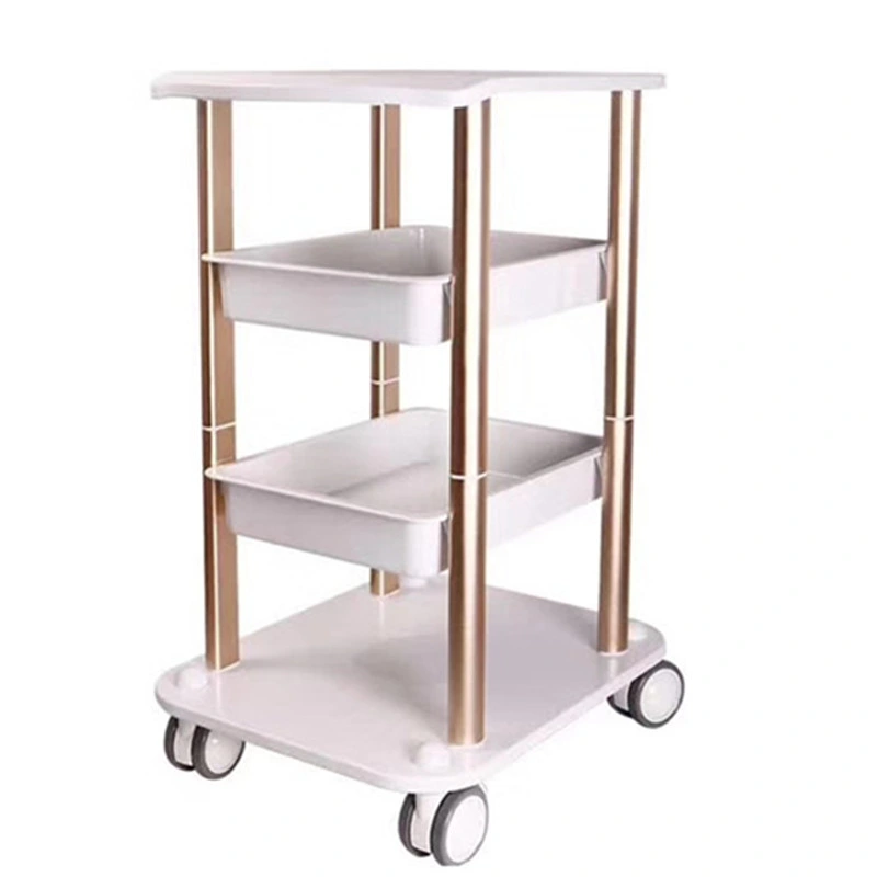 Hot Sale Beauty Equipment Salon Use Beauty Trolley with 2 Drawers